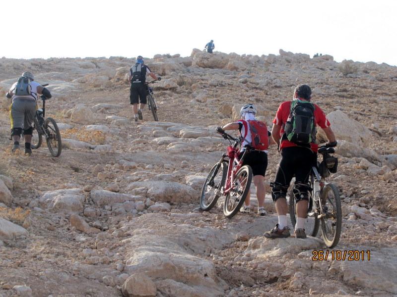 קובץ:רכס חרובה 071 (Medium).jpg