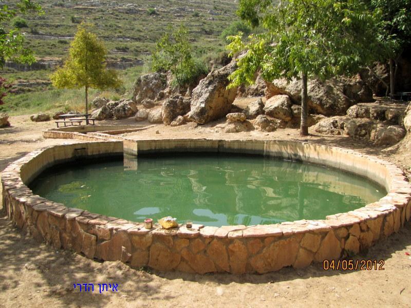 קובץ:1424294-1-.jpg