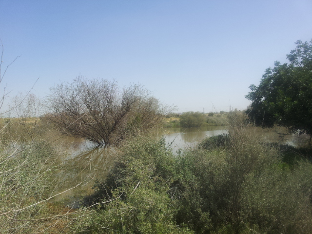 קובץ:2015.03.01-115721.253.android.jpg