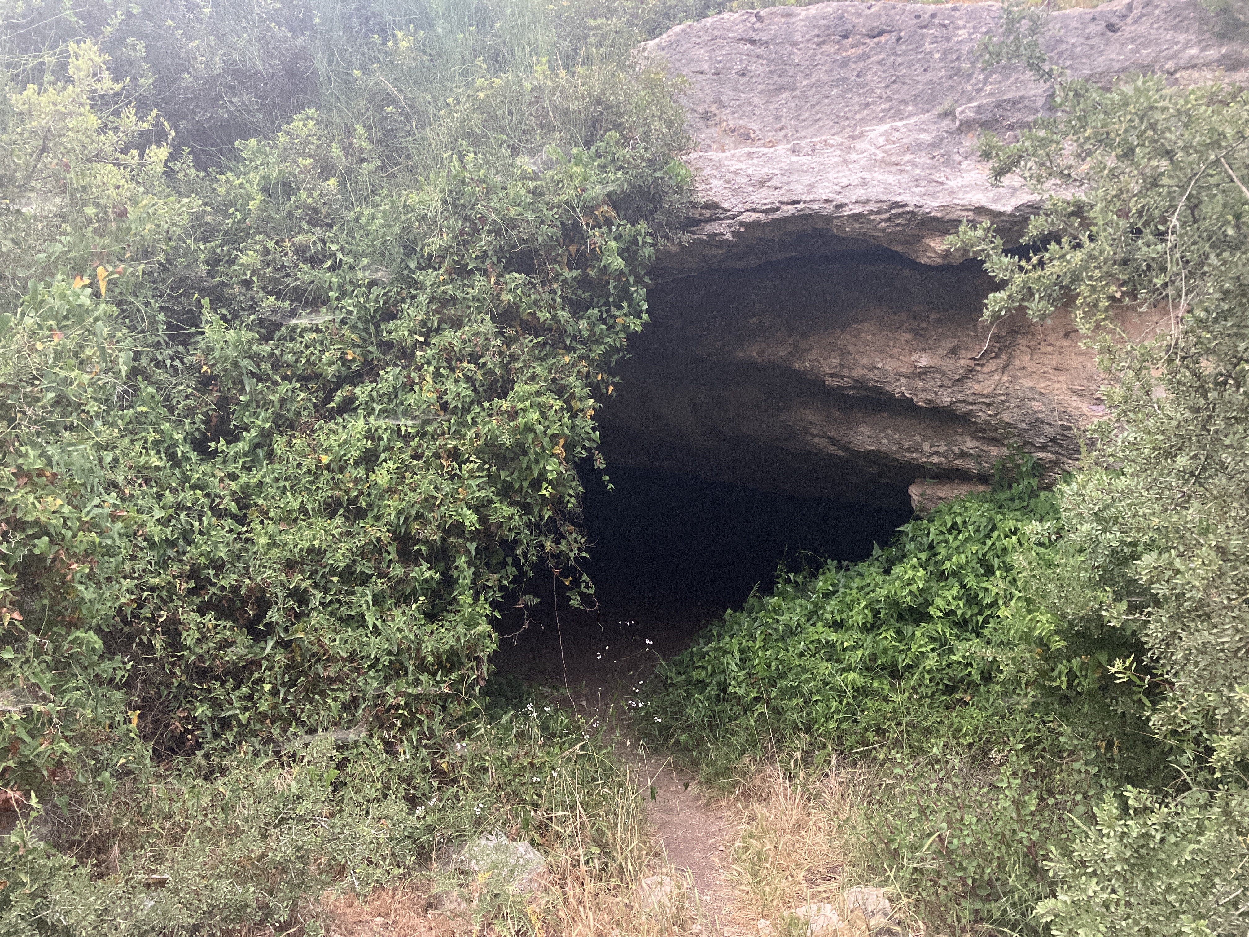 קובץ:2025-05-10T19 15 02.901132688584.jpg