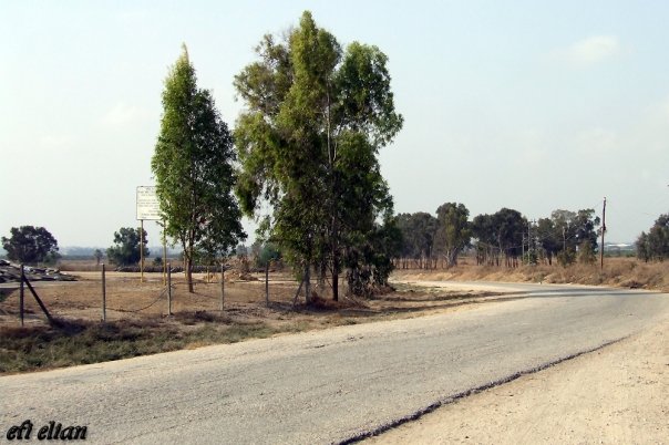 קובץ:7016 174504889496 791764496 2564566 1563313 n.jpg