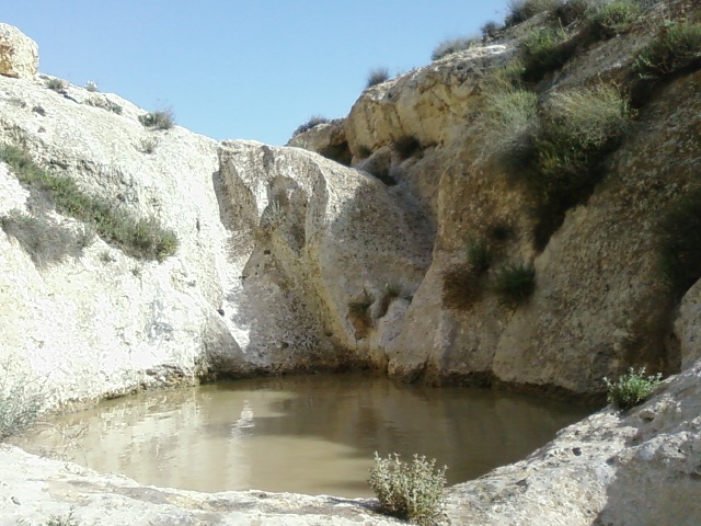 קובץ:Photo0678.jpg