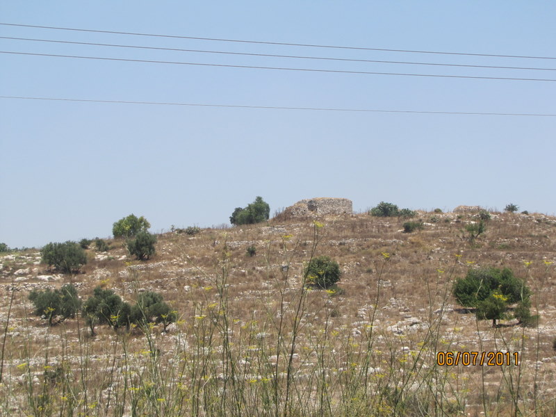 קובץ:Picture 782.jpg
