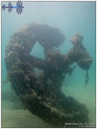 ©Diving in Yaffo Kalachov com ExtremeDiveTeam 28 06 2014 SS Bilbeis 016.jpg