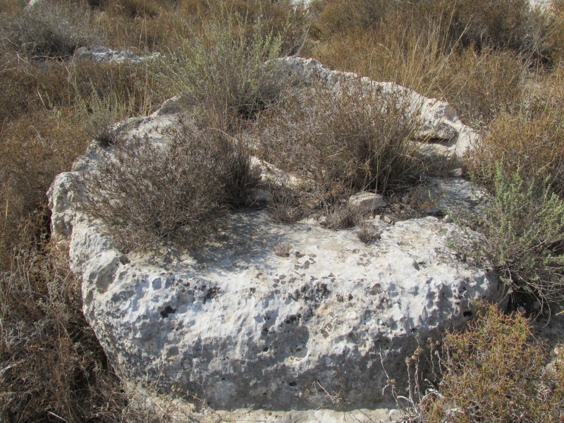 קובץ:אבןיםמשר.JPG