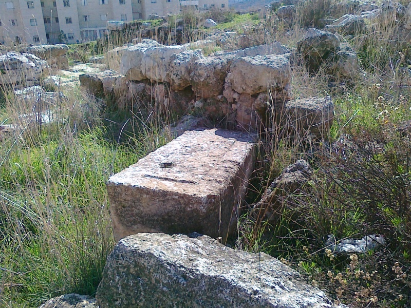 קובץ:אבנים מסותתות (צילם שמואל פישר).jpg