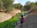 תמונה ממוזערת לגרסה מתאריך 10:11, 22 באוגוסט 2021