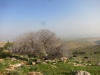 אלה אטלנטית 6.2.18 ו.חושנה מש יאיר-וינר-1.jpg
