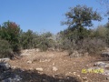 תמונה ממוזערת לגרסה מתאריך 07:10, 11 בנובמבר 2019