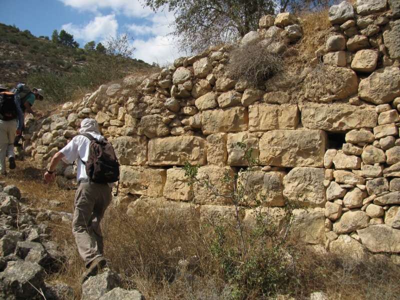 קובץ:אליפיוס.JPG