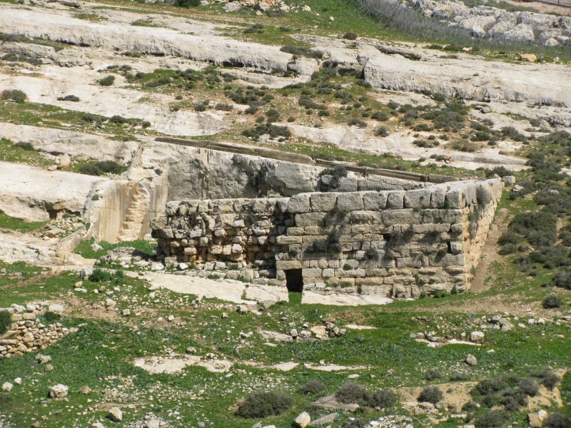 קובץ:אל ביאר (20).JPG