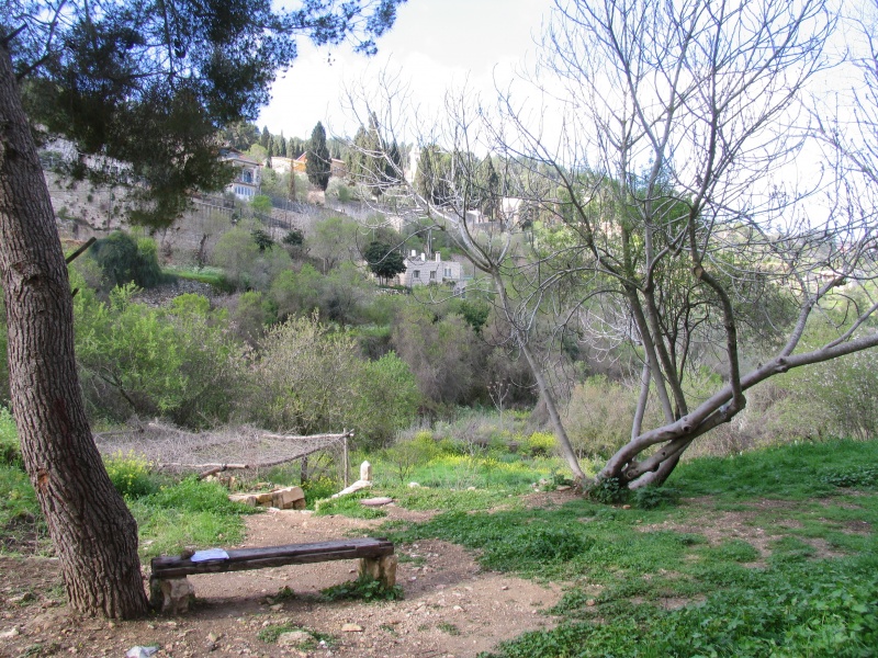 קובץ:בוסתן המעיין.JPG