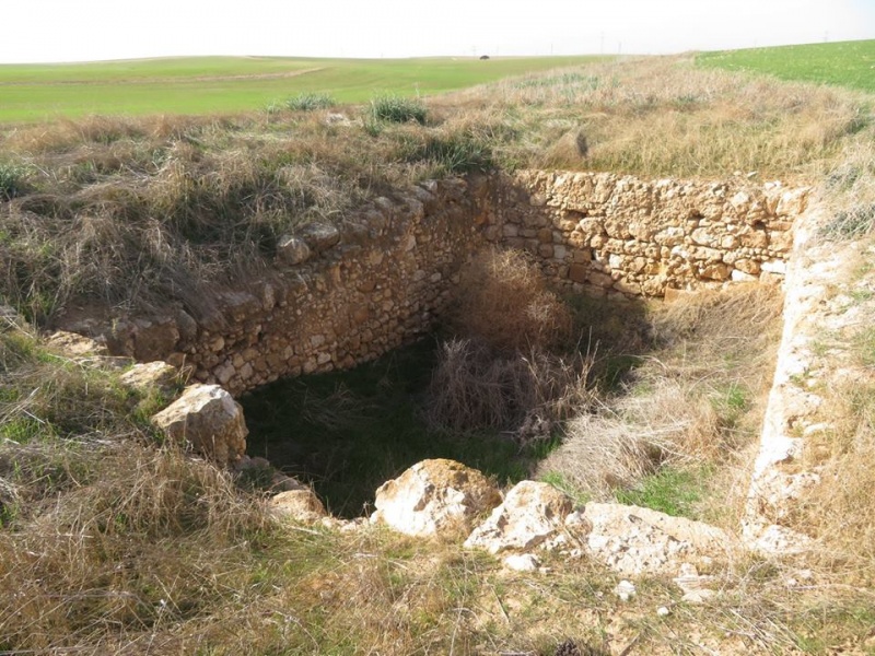 קובץ:בורבריכהנ.jpg