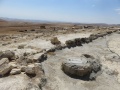 תמונה ממוזערת לגרסה מתאריך 17:16, 7 בספטמבר 2016