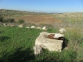 תמונה ממוזערת לגרסה מתאריך 20:13, 12 בנובמבר 2015