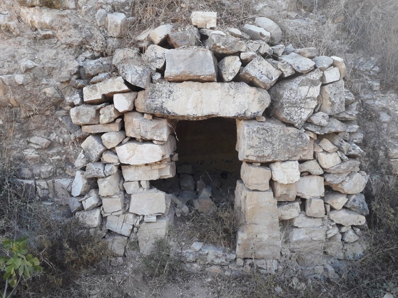 קובץ:בורמיםחלץ.jpg