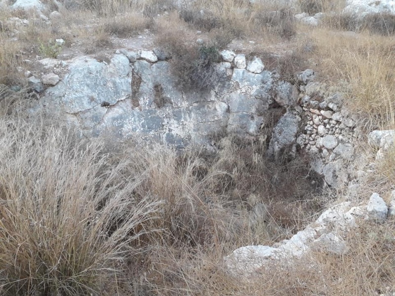 קובץ:בורסידנעלהמז.jpg