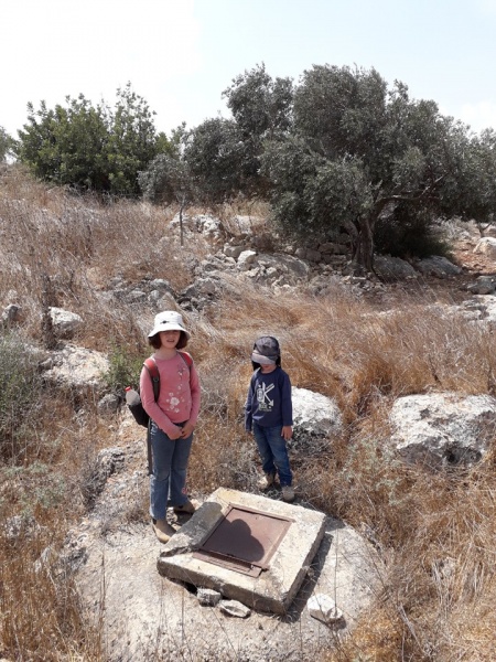 קובץ:בורצמודגדרגלבועיב.jpg