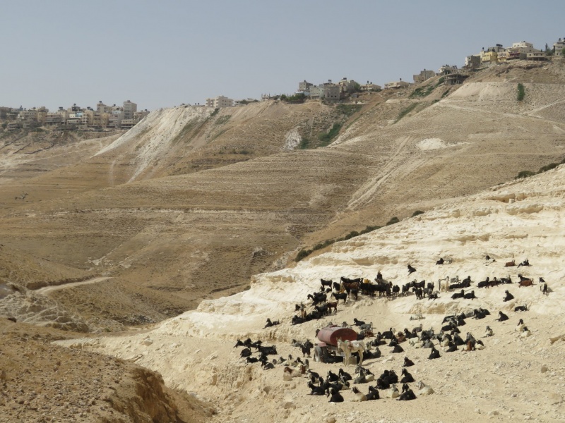 קובץ:בורשחאדבע.jpg