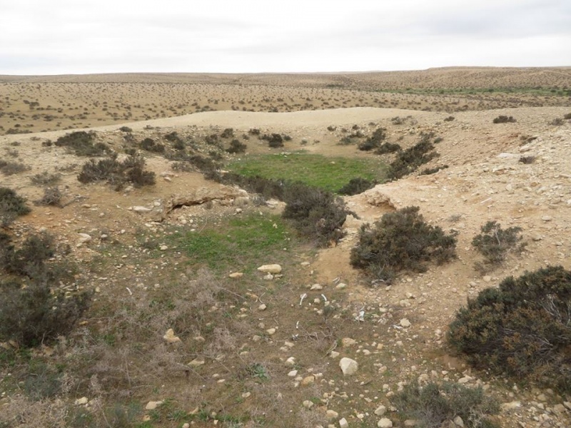 קובץ:בורשמונהצמתנגב.jpg