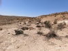 בור-2 מצודת נ.סרפד 7.10.25 בקעת-מתנן מזרחי ש-46.jpg