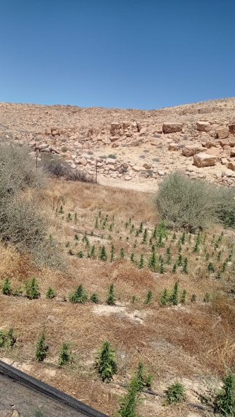 קובץ:בור אבן-ארי 29.6.23 נ.עקרב 900מ.ש-12.jpg