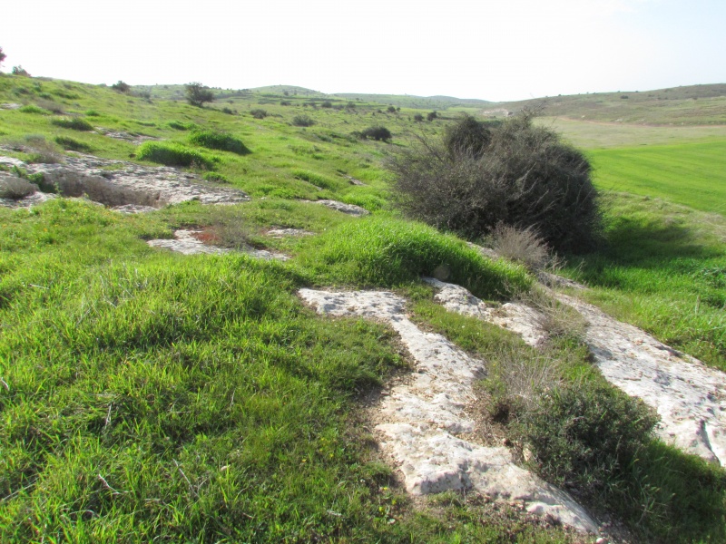 קובץ:בור וקולומבריום.JPG