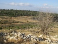 תמונה ממוזערת לגרסה מתאריך 15:54, 20 במאי 2016