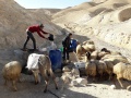 תמונה ממוזערת לגרסה מתאריך 18:26, 12 בינואר 2019