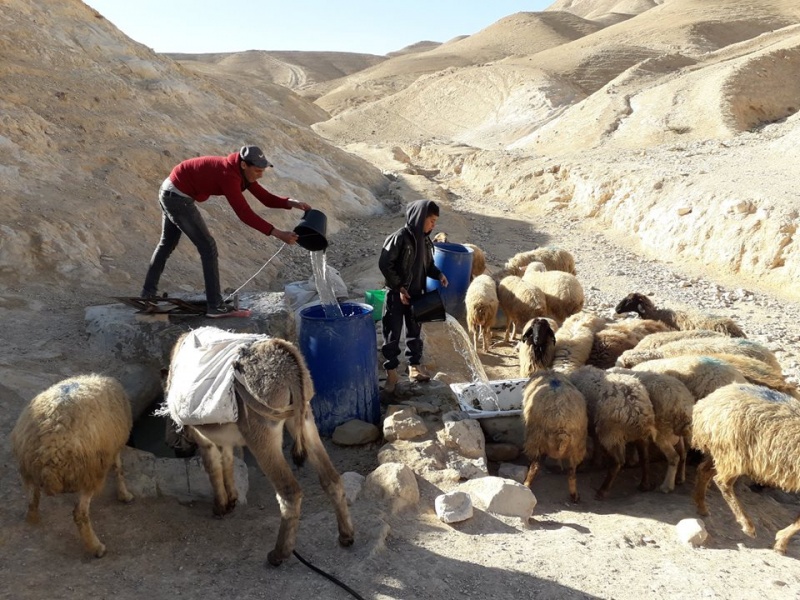 קובץ:בירדהיההשקיה.jpg