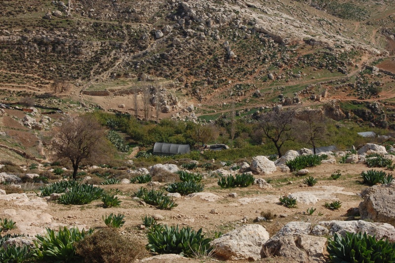 קובץ:ביר א-דווה.JPG