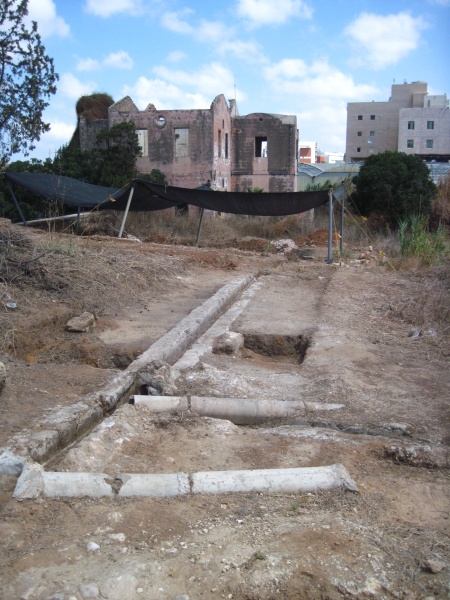 קובץ:ביתאדםתעלותנצ.JPG