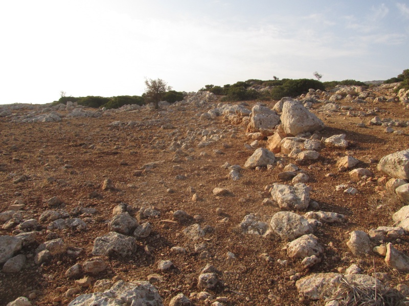 קובץ:ביתחוהאראוס.JPG