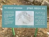 בית הכנסת העתיק בארבל-צילם שמואל פישר4.jpg