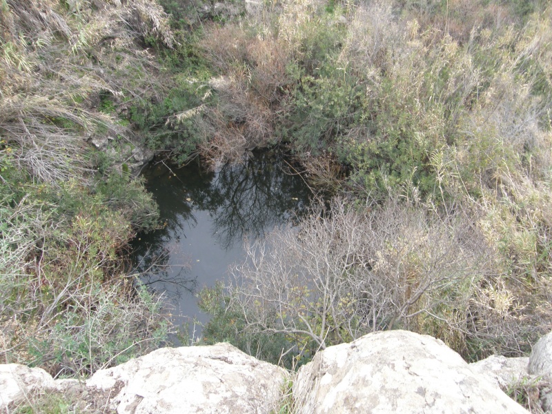 קובץ:בריכת ג'עדן.JPG