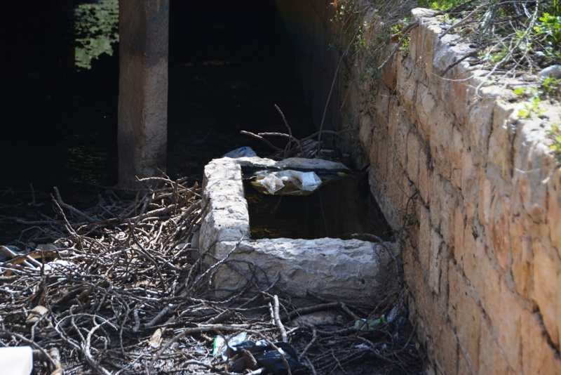 קובץ:בריכת עין נר עויון אל חרמייה.JPG