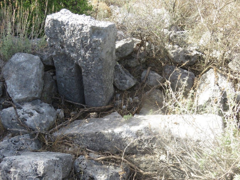 קובץ:בתולותעכיר.jpg