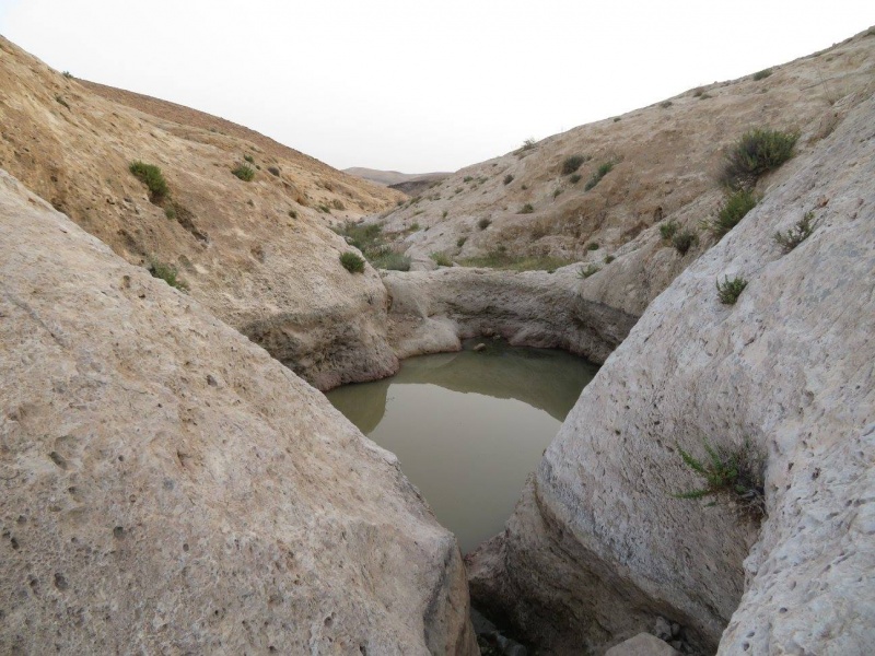 קובץ:גבאשלון.jpg