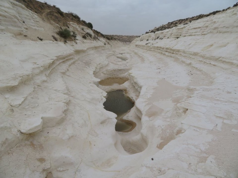 קובץ:גביםנחלסכרב.jpg