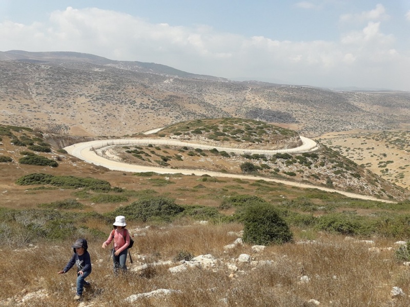 קובץ:גבעתהתוספתן.jpg