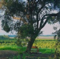 תמונה ממוזערת לגרסה מתאריך 08:57, 5 באוקטובר 2019