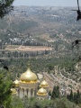 תמונה ממוזערת לגרסה מתאריך 05:08, 10 ביולי 2014