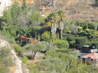 גוש עציון בדרכים חדשות 152 (Medium).jpg