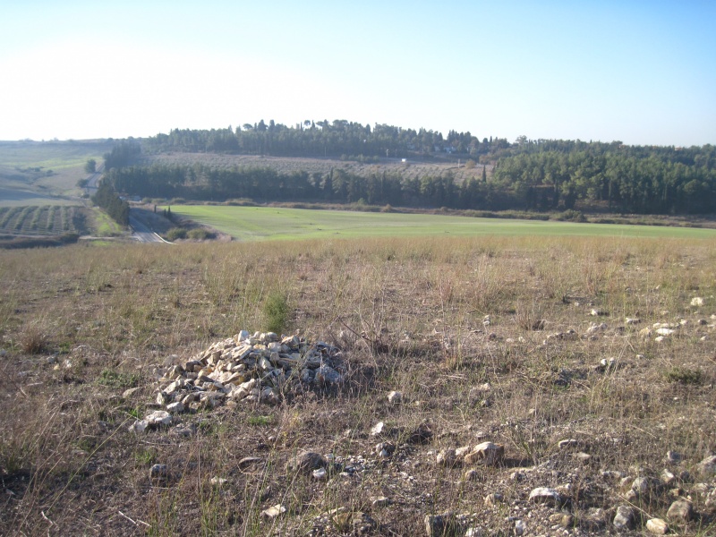 קובץ:גלאבניםעריסה.JPG