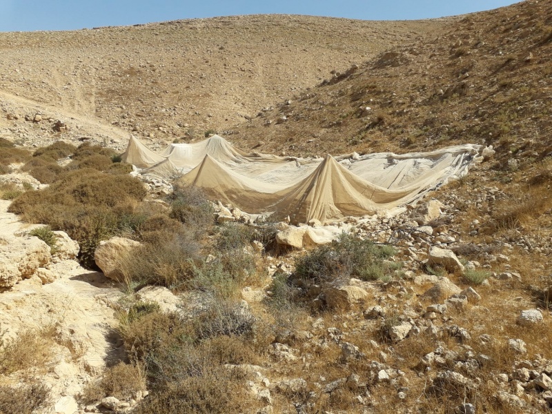 קובץ:גראסניצים.jpg