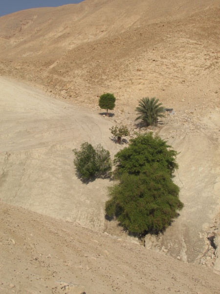 קובץ:גרוזליהמזא.JPG