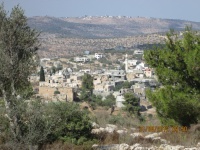 גרעינו העתיק של הכפר מזרע נובאני.jpg