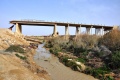 תמונה ממוזערת לגרסה מתאריך 19:56, 23 בינואר 2016