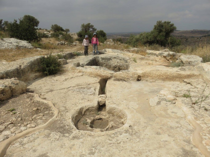 קובץ:גתאשוןח.jpg