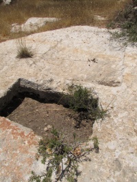 גתכבישנחושה.JPG